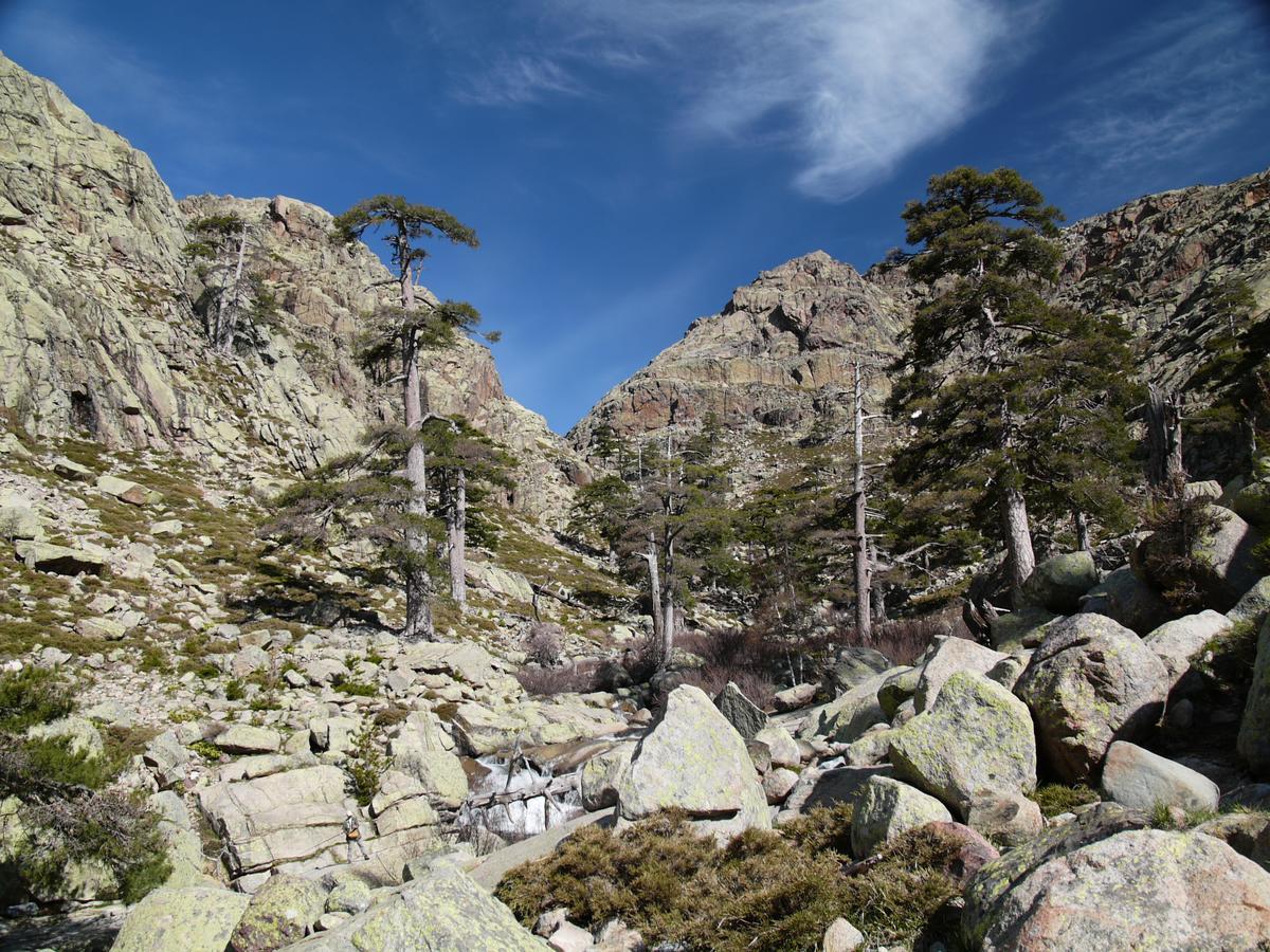 Castel De Vergio Albertacce Экстерьер фото